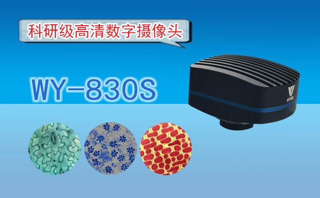 专业高清麻豆一区二区在线观看WY-830S