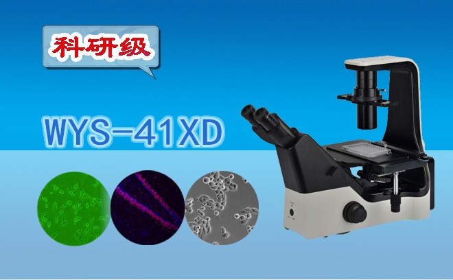 科研级三目倒置生物国产麻豆视频WYS-41XD
