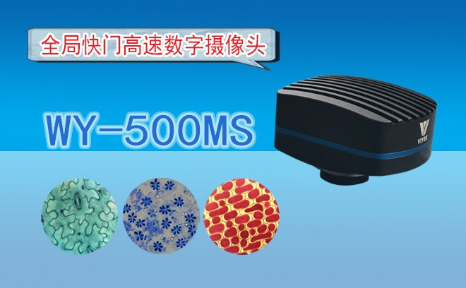 生命科学国产麻豆视频的观察方式