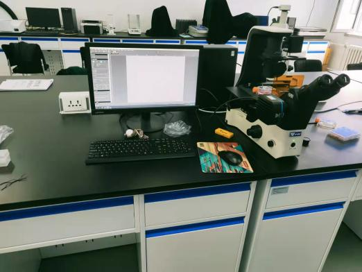 哈尔滨商业大学购入天津麻豆高清无码光电三目倒置荧光显微成像系统
