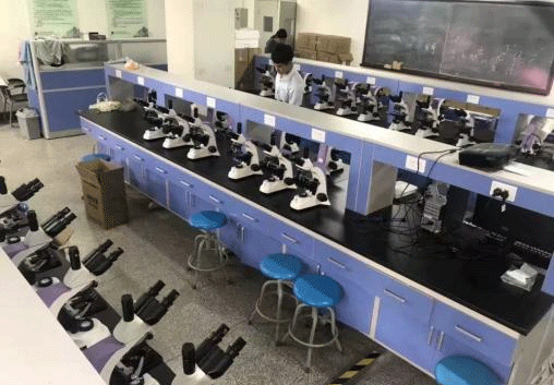 生物国产麻豆视频.png