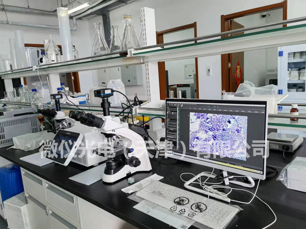 百葵锐（天津）生物科技有限公司采购我公司生物国产麻豆视频