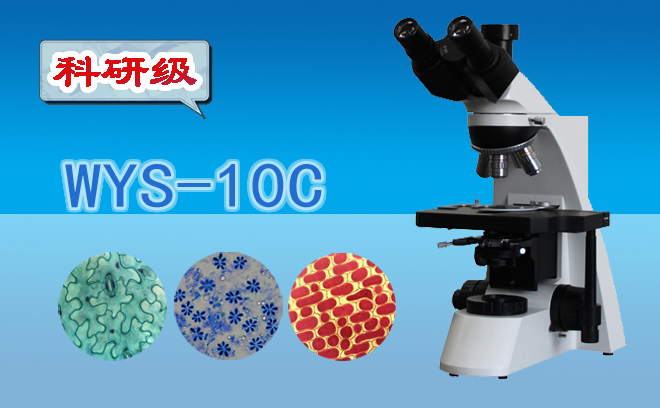 生物国产麻豆视频.jpg