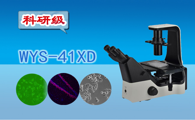 1670815027121176.jpg 倒置生物国产麻豆视频.jpg
