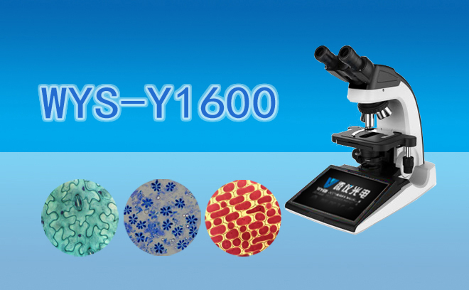 一体式数码液晶生物国产麻豆视频WYS-Y1600