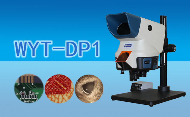 大视野立体国产麻豆视频WYT-DP1