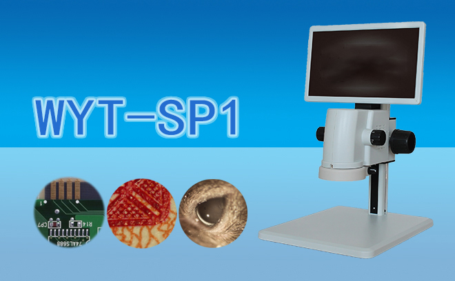 视频一体国产麻豆视频WYT-SP1